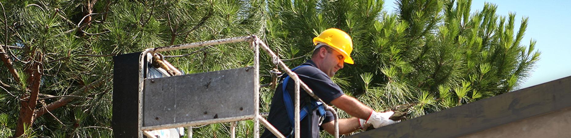 ecoservice-ferrara it pulizie-grondaie-ferrara 005