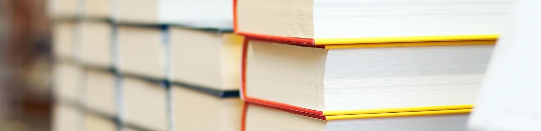 ecoservice-ferrara it logistica-e-distribuzione-editoriale 005